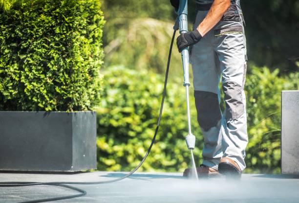 Best Sign and Awning Cleaning  in Waynesboro, GA