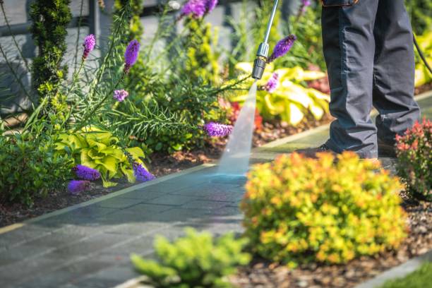 Professional Pressure Washing Services in Waynesboro, GA