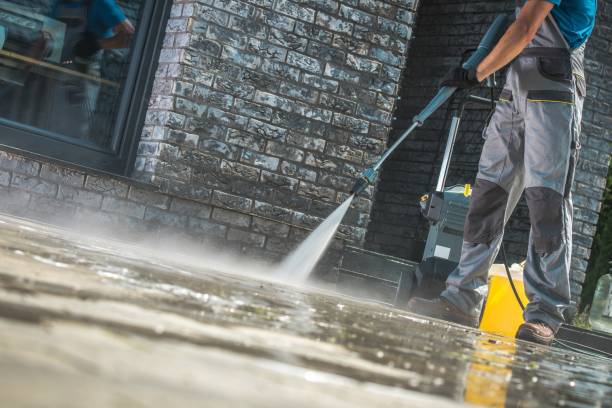 Animal Enclosure Cleaning in Waynesboro, GA